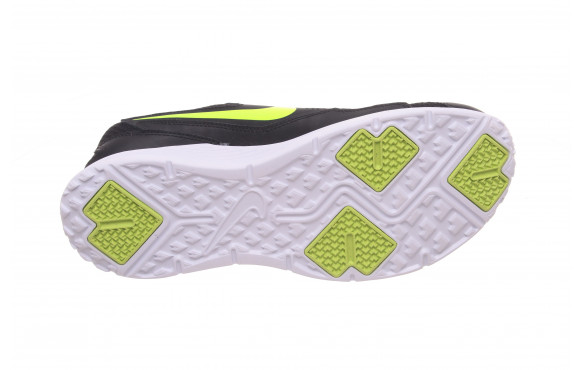 cp trainer 2