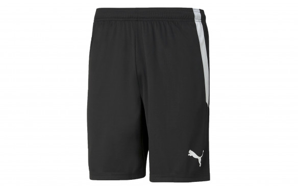 PUMA TEAMLIGA SHORTS