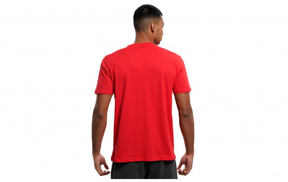 CHAMPION GRAPHIC SHOP AUTENTIC_MOBILE-PIC2