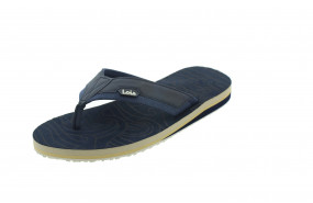 LOIS BEACH 86097