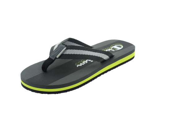 CHAMPION WEB EVO