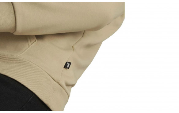 PUMA ESSENTIALS BIG LOGO HOODIE_MOBILE-PIC3