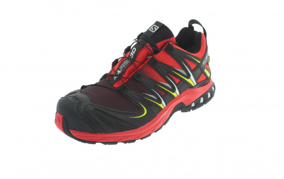 SALOMON XA PRO 3D GTX