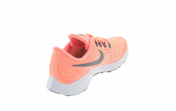 pegasus 35 niña