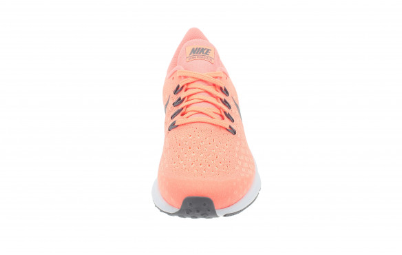 pegasus 35 niño