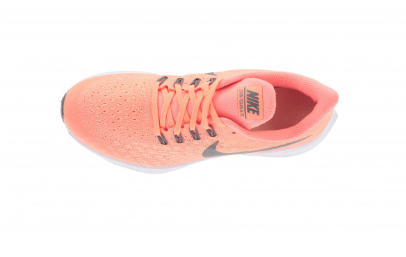 pegasus 35 niño