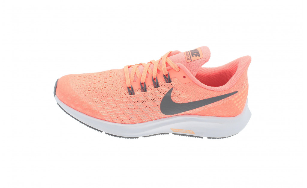 pegasus 35 niña